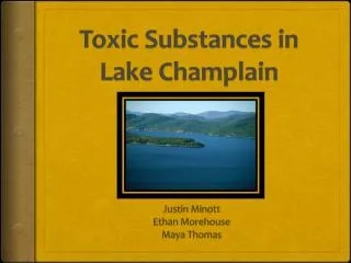 Toxic Substances in Lake Champlain