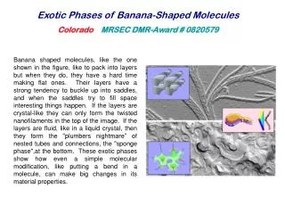 Exotic Phases of Banana-Shaped Molecules Colorado MRSEC DMR-Award # 0820579