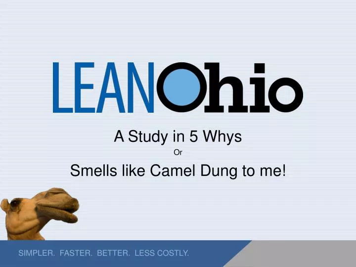 a study in 5 whys or smells like camel dung to me