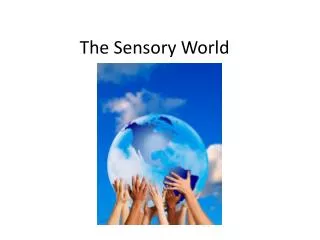 The Sensory World