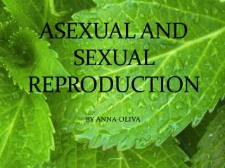 asexual and sexual reproduction