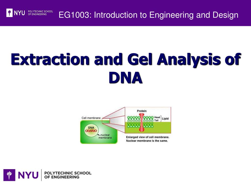 PPT - EG1003: Introduction to Engineering and Design PowerPoint ...