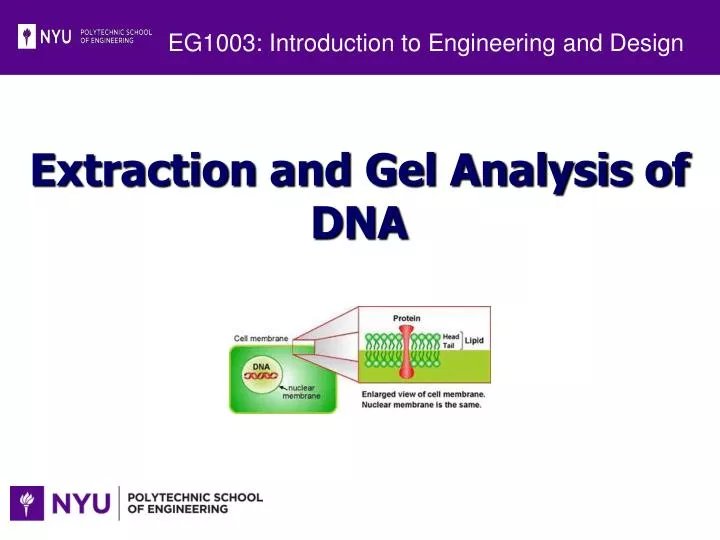 eg1003 introduction to engineering and design