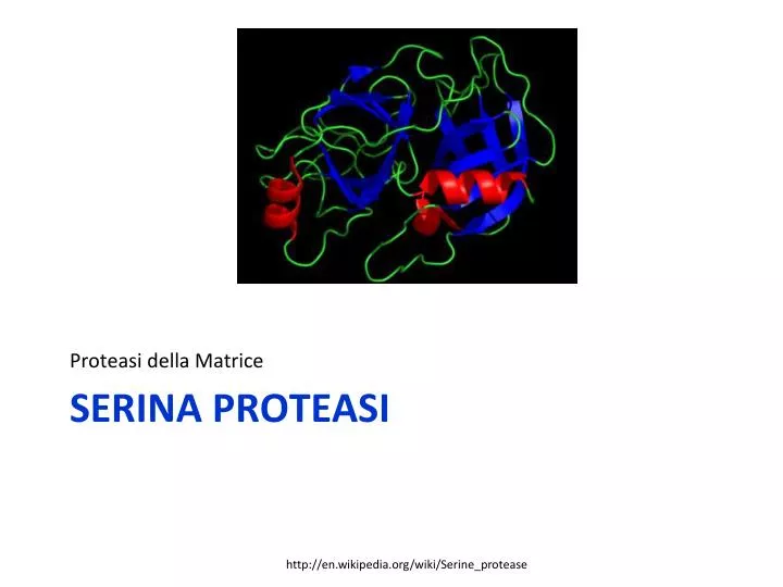 serina proteasi