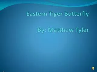 Eastern Tiger Butterfly By: Matthew Tyler