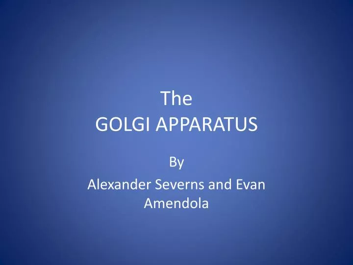 the golgi apparatus