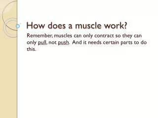 How does a muscle work?