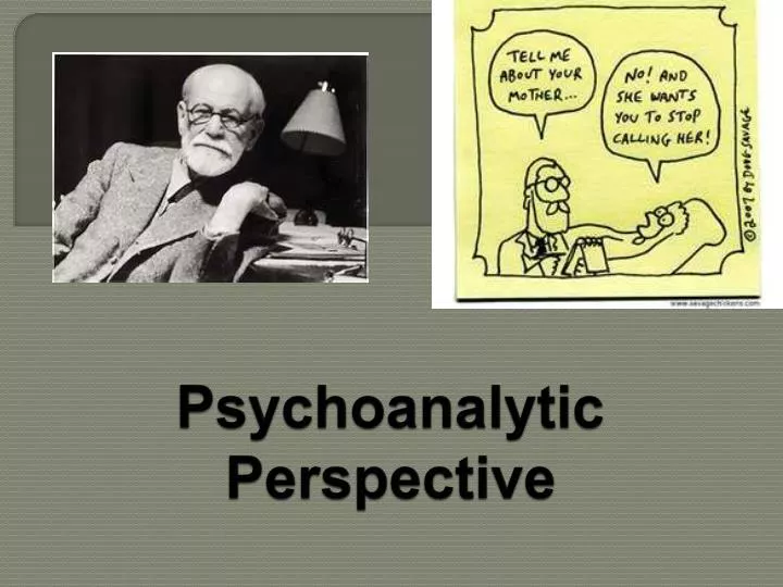 psychoanalytic perspective