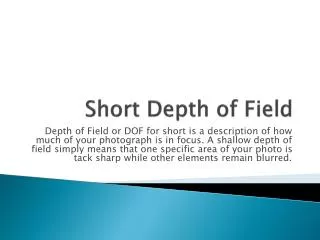 Short Depth of Field