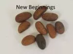 New Beginnings - slide 1