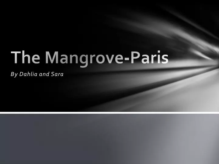 the mangrove paris