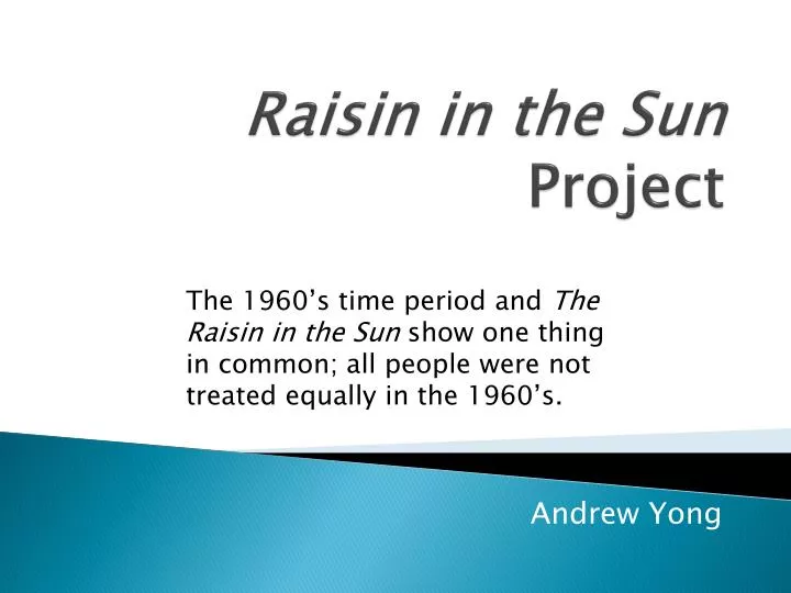 raisin in the sun project