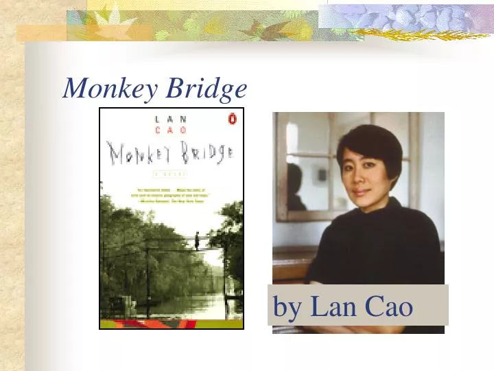 monkey bridge