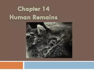 Chapter 14 Human Remains