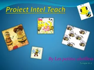 proiect intel teach
