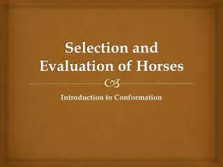 Selection and Evaluation of Horses
