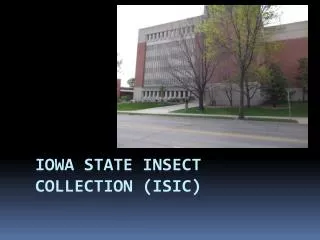 Iowa State Insect Collection (ISIC)
