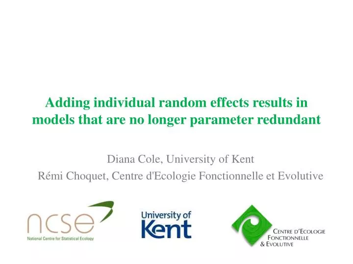 adding individual random effects results in models that are no longer parameter redundant