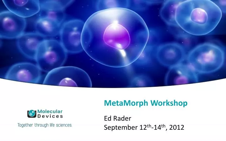 metamorph workshop