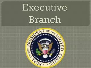 executive branch