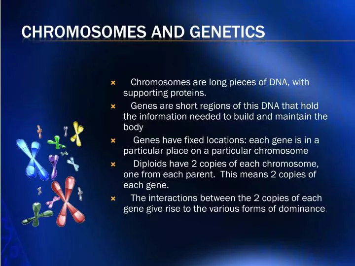 chromosomes and genetics