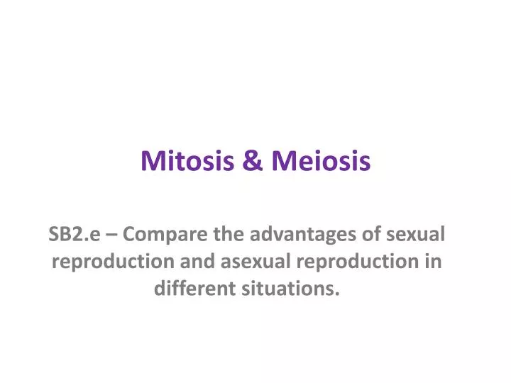 mitosis meiosis
