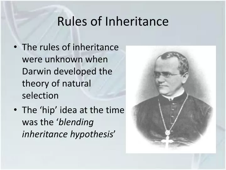 rules of inheritance
