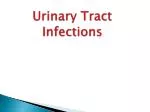 PPT - Urinary Tract Infections PowerPoint Presentation, free download ...