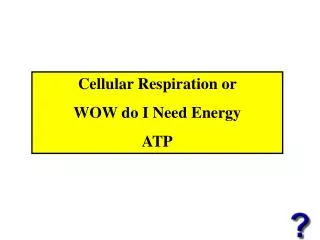 Cellular Respiration or WOW do I Need Energy ATP