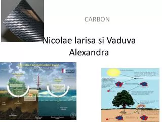 nicolae larisa si vaduva alexandra