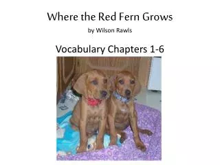 Where the Red Fern Grows by Wilson Rawls Vocabulary Chapters 1-6