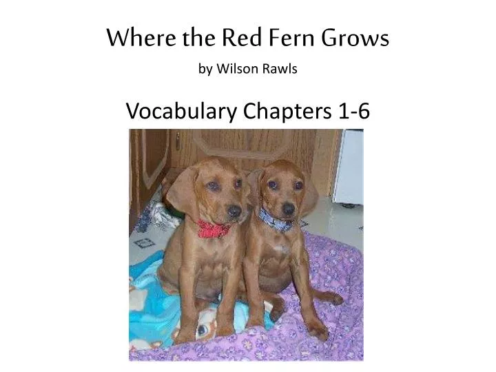 where the red fern grows by wilson rawls vocabulary chapters 1 6