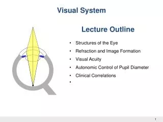 Dr W Kolbinger, Visual System (2009)