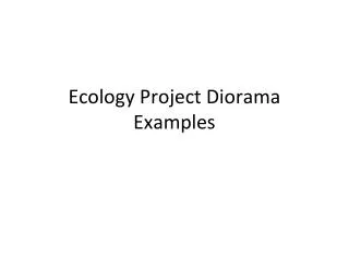Ecology Project Diorama Examples