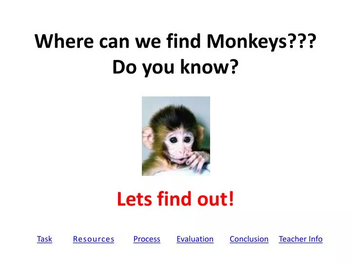 where can we find monkeys do you know