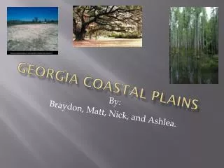 Georgia Coastal Plains