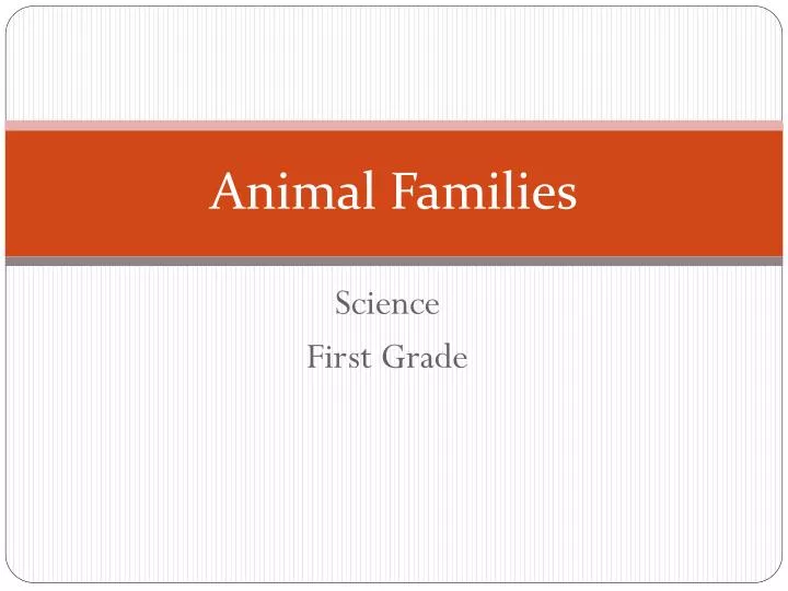 animal families