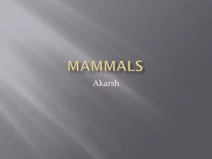 PPT - Mammals PowerPoint Presentation, Free Download - ID:2224798