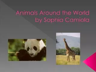 Animals Around the World by Sophia C amiola