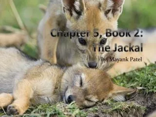 Chapter 5, Book 2: The Jackal
