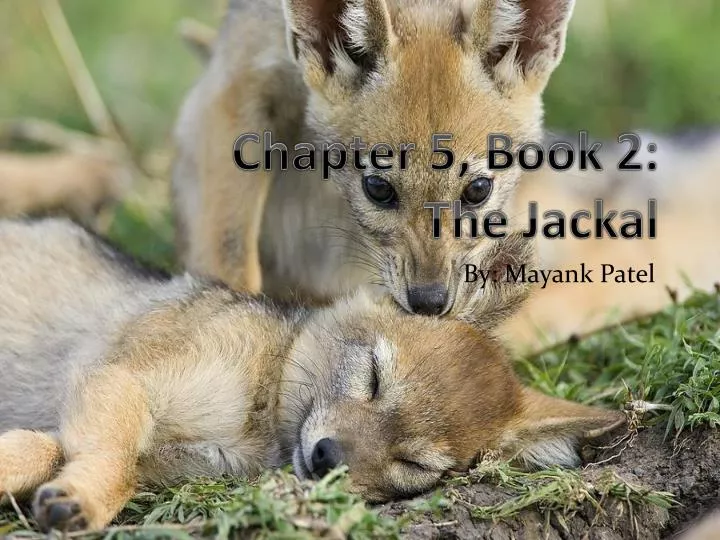 chapter 5 book 2 the jackal