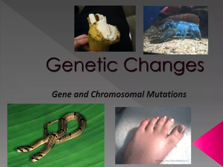 genetic changes