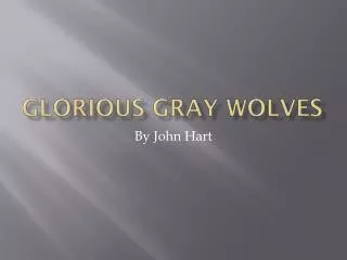 Glorious Gray Wolves