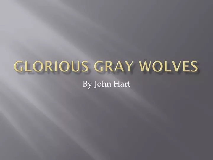 glorious gray wolves