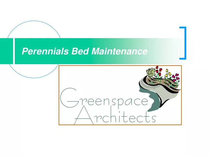 perennials bed maintenance
