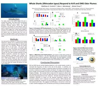 Whale Sharks ( Rhincodon typus ) Respond to Krill and DMS Odor Plumes