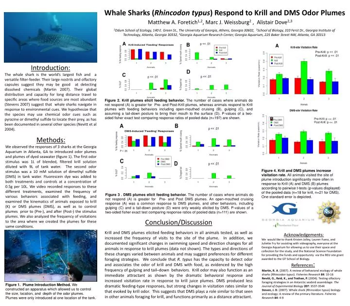 whale sharks rhincodon typus respond to krill and dms odor plumes