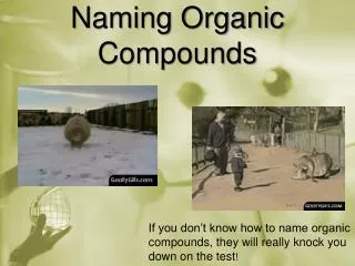 Naming Organic Compounds