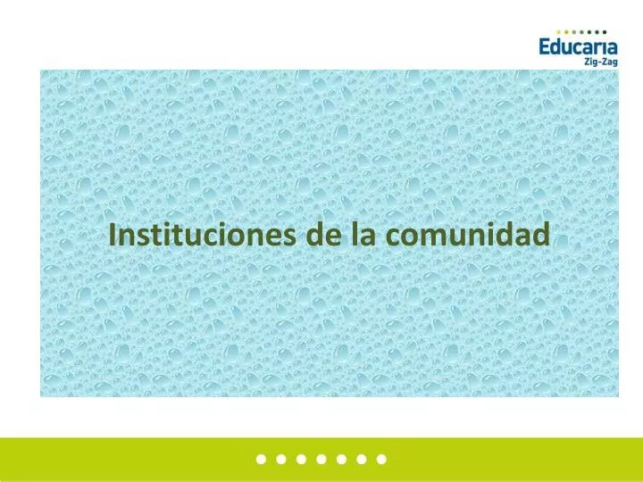 instituciones de la comunidad