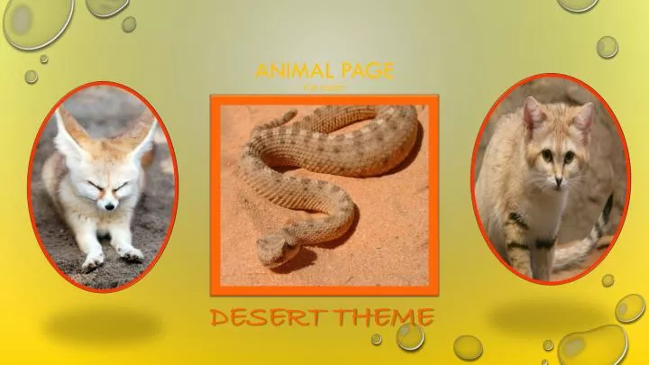 animal page for sunset